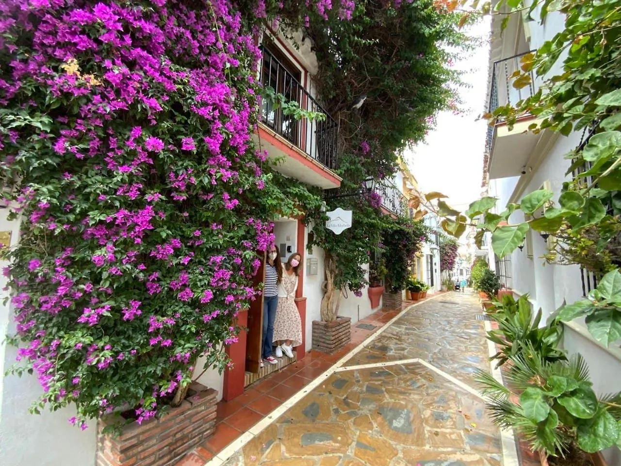 Estudio Venus Marbella 0*,