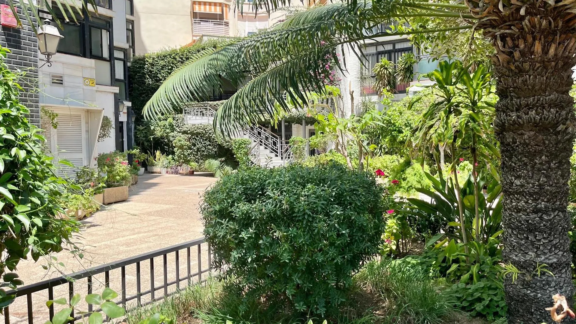 Estudio Venus Marbella Apartment